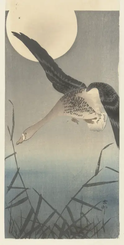 Husa, Ohara Koson
