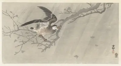 Špaček šedý v bouři, Ohara Koson