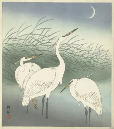 Volavky v mělké vodě, Ohara Koson