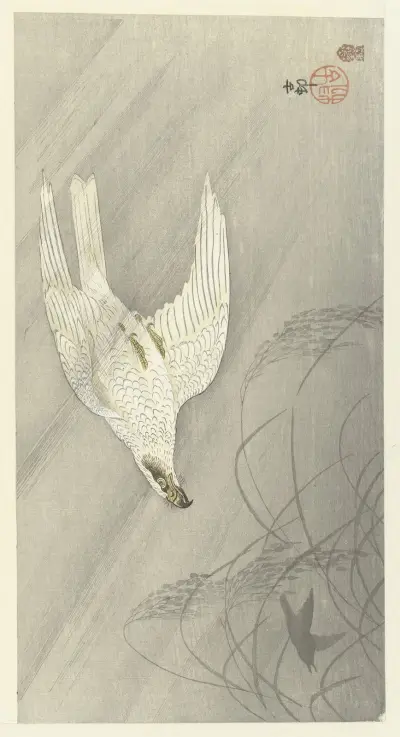 Hunting hawk av Ohara Koson