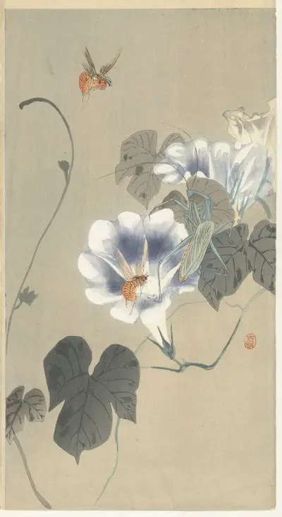 Hmyz u svlačce, Ohara Koson