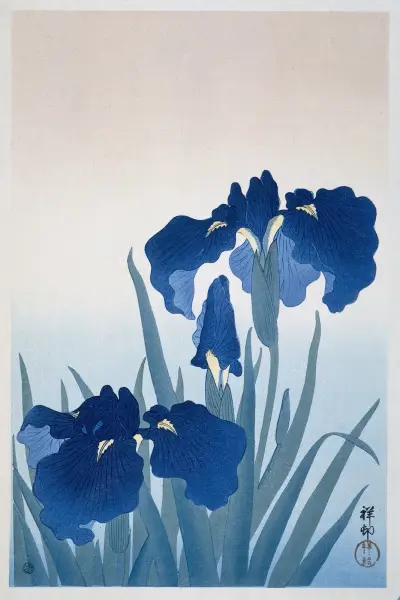Kosatce, 1925, Ohara Koson