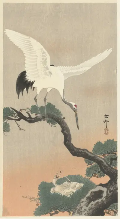 Japanese common crane on branch of pine av Ohara Koson