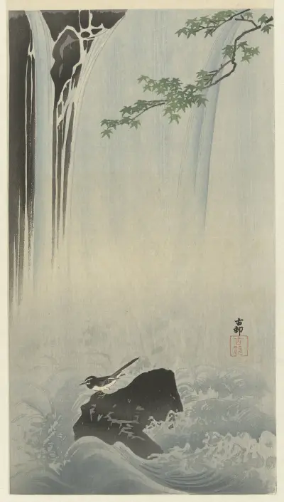 Japonská konipas u vodopádu, Ohara Koson