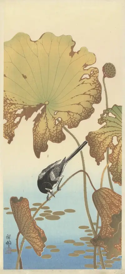 Japonský konipas na lotosu, Ohara Koson