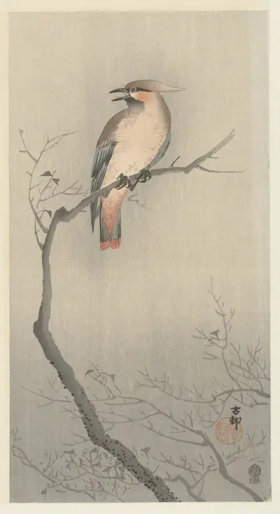 Japonský brkoslav na větvi, Ohara Koson