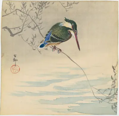 Ledňáček, Ohara Koson