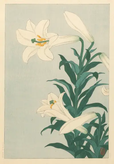 Lilie, Ohara Koson