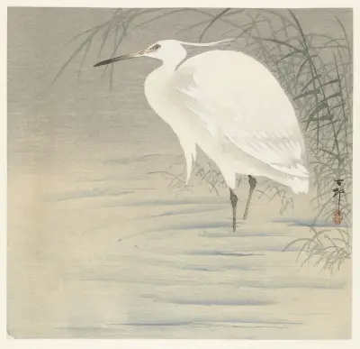 Malá volavka, Ohara Koson