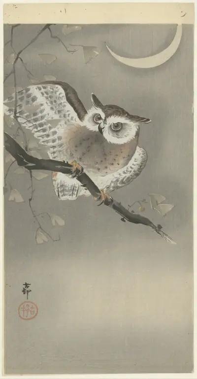 Long-eared owl in ginkgo av Ohara Koson