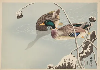 Kachny a lotos pod sněhem, Ohara Koson