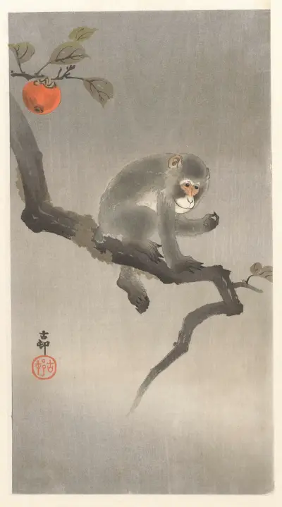 Opička na kaki stromě, Ohara Koson