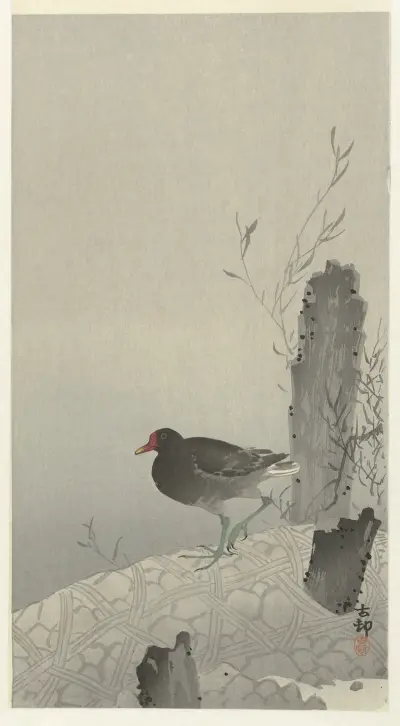 Slöja, Ohara Koson