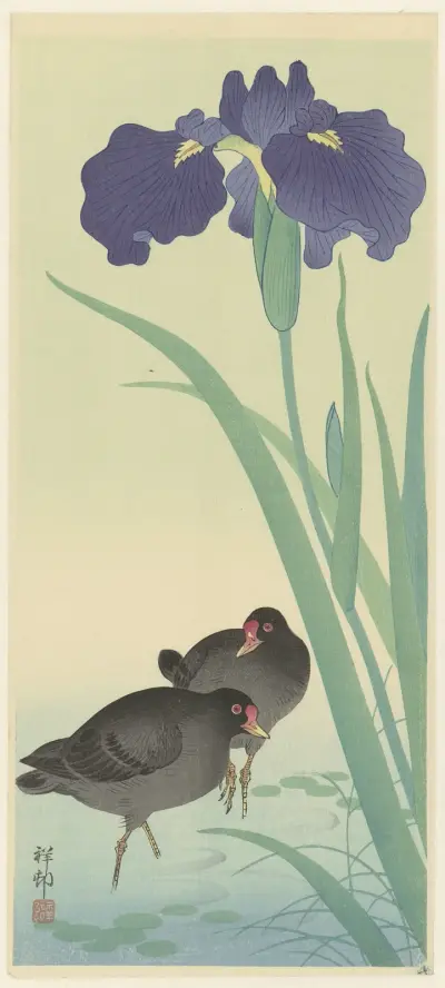 Slöjsvalor a kosatce, Ohara Koson