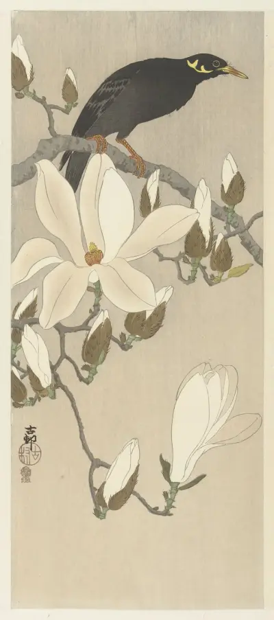 Myna na magnoliové větvi, Ohara Koson