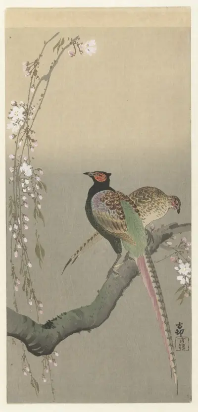 Pár bažantů a třešňové květy, Ohara Koson