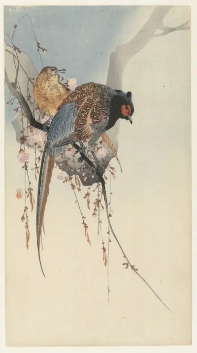 Bažantí pár a švestkový květ, Ohara Koson