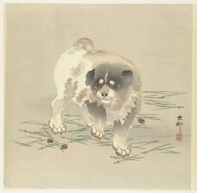 Štěně, Ohara Koson