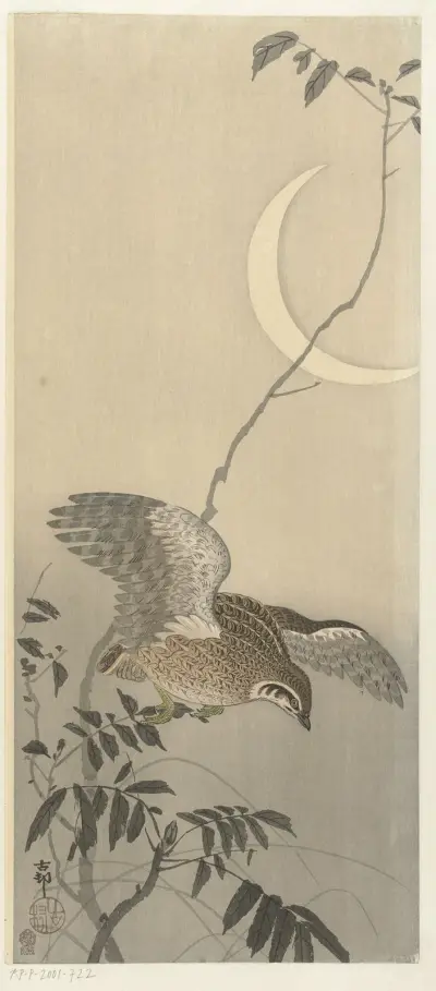 Křepelka pod srpkem měsíce, Ohara Koson
