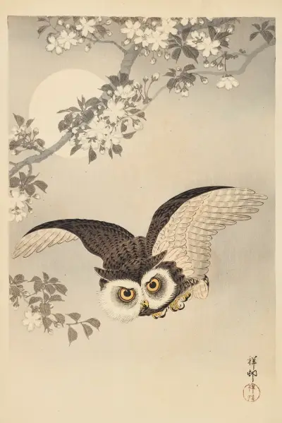 Sova, třešňové květy a měsíc, Ohara Koson