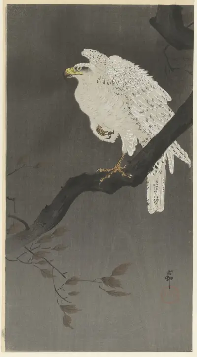 Sněžný orel na větvi stromu, Ohara Koson