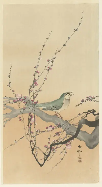 Zpěvný pták a švestkové květy, Ohara Koson