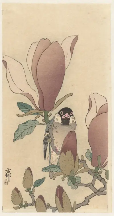Vrabec na kvetoucí větvi magnólie, Ohara Koson