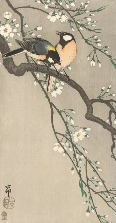 Sýkorky na třešňové větvi, Ohara Koson