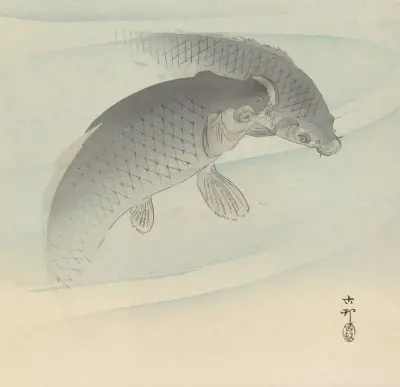Dva kapři, 1900 – č. 3, Ohara Koson