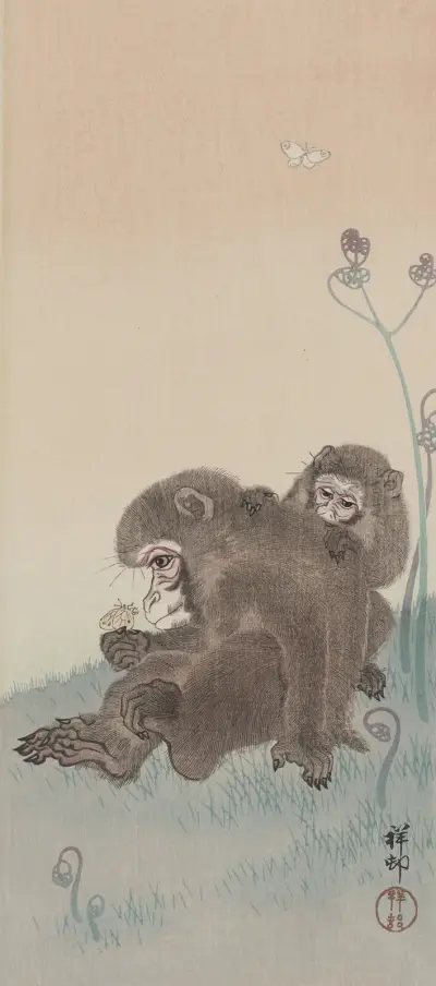 Dvě opice s motýlem, Ohara Koson