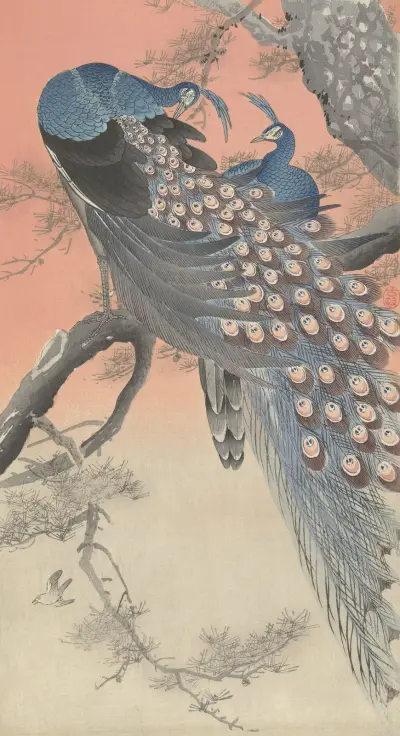 Dva pávi na větvi, Ohara Koson