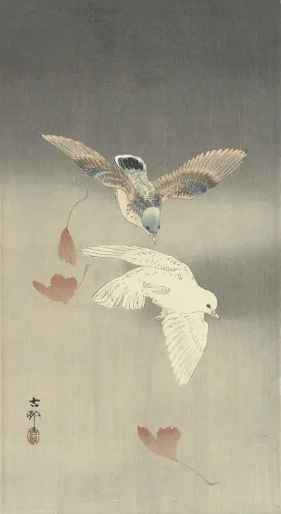 Dvě holubi s padajícími listy ginkga, Ohara Koson