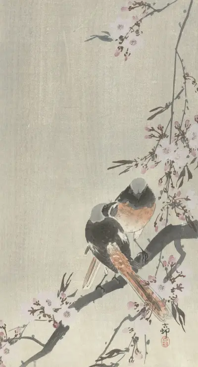 Dva sedloví krahujci s třešňovými květy, Ohara Koson