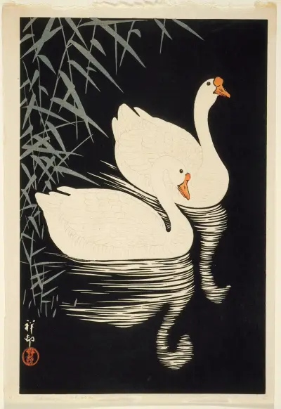 Bílé čínské husy plující u rákosí, Ohara Koson