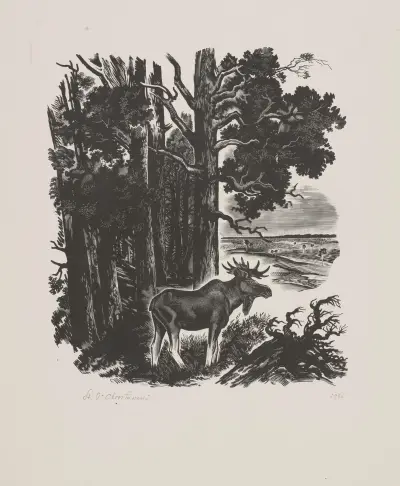 Łoś av Stanisław Ostoja-Chrostowski