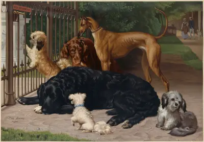 Dogs Not Admitted av Otto Bache