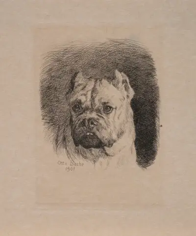Et hundehoved av Otto Bache
