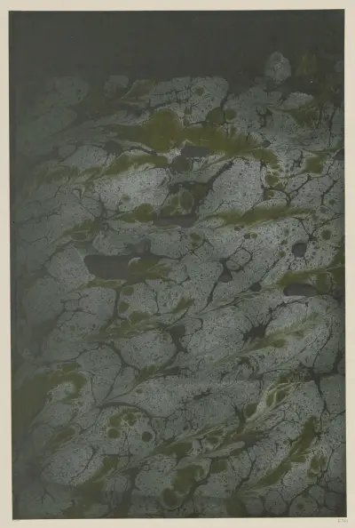 Marmorpapier, 1894 – Nr. 12 von Otto Eckmann
