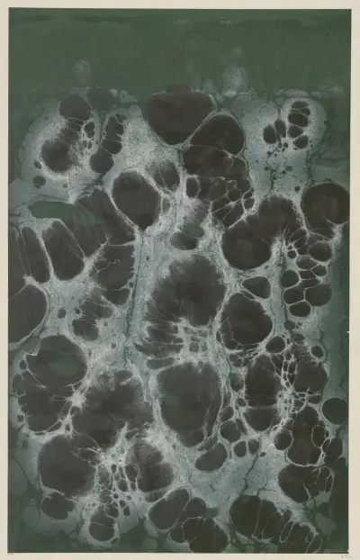Marmorpapier, 1894 – Nr. 16 von Otto Eckmann