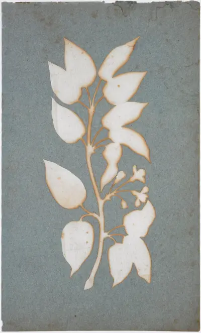 Blütenzweig (Wald-Geissblatt) av Philipp Otto Runge