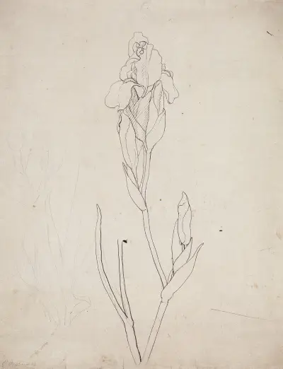 Iris av Philipp Otto Runge