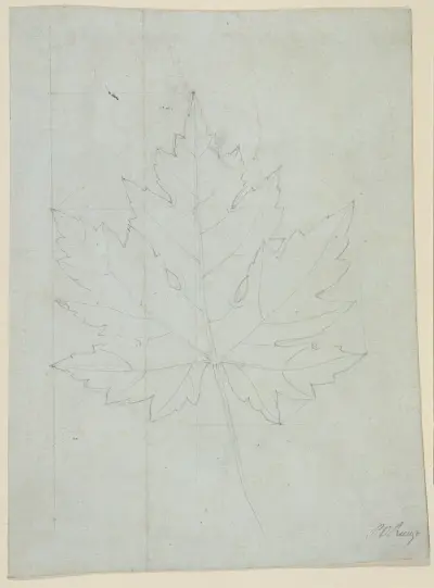 Maple leaf av Philipp Otto Runge