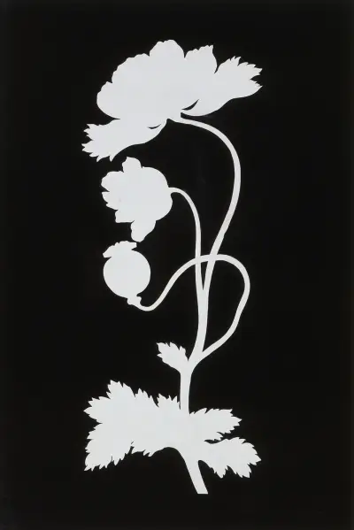 Poppy av Philipp Otto Runge