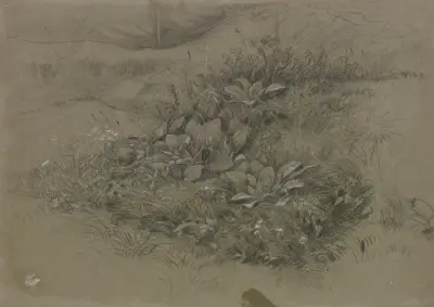 Pflanzenstudie in Wiesenlandschaft von Otto Scholderer