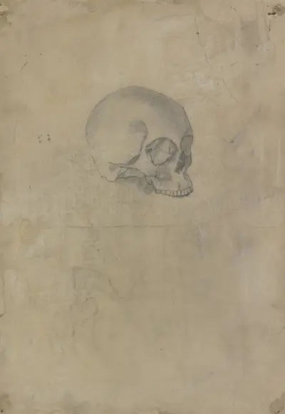 Schädel von Otto Scholderer