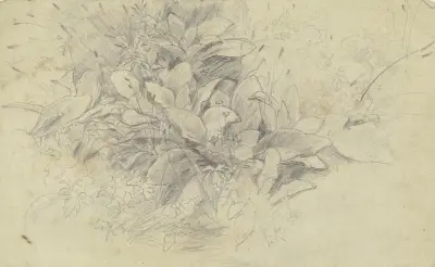 Studie von Pflanzen von Otto Scholderer