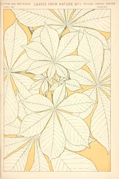 Leaves from Nature No. 1 av Owen Jones