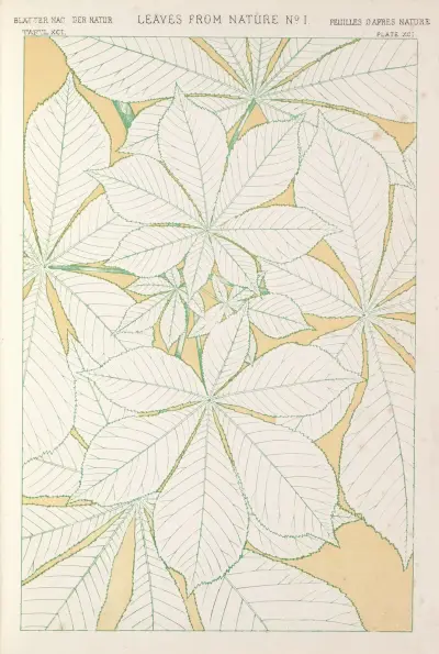 Blad från naturen nr 1 av Owen Jones