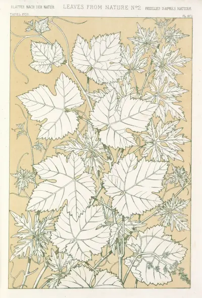 Blad från naturen nr 2 av Owen Jones