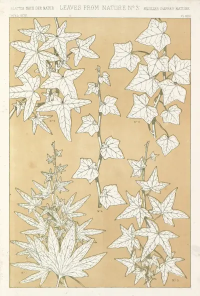 Leaves from Nature No.3 av Owen Jones